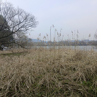 ��ĩ����ɽ���紵�������Ω��Ӱ