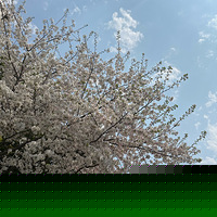 żĿͼ˹