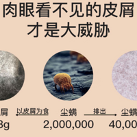 �������Ƽ����ĸ�Ʒ�ƣ�2025�����ѡ����5��������Ƽ���