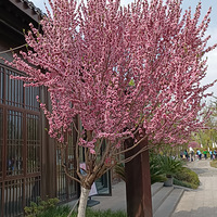 春天的桃花湖公园