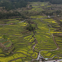 飬