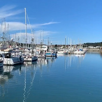 ���������й��¡���Halfmoonbay�����°�����������