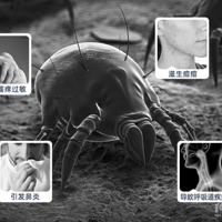 �ڱ����ڵĳ���������Щ��2025��10 �����ų������ͺŴ���أ�