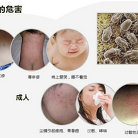 ���������а�ǰʮ����2025ʮ���Ϻ��õĳ���������