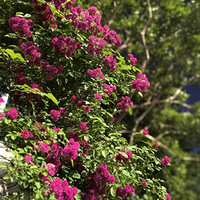 ô죬Ϣû