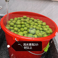 青梅酒和青梅酵素的制作