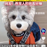 һ��3000��ι��è�͹�����2024��Ӥ�׶��̷��г���2��