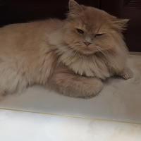 ҵķŷȣ