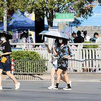 С����ʲô���ӵ���������ã�2025��ʮ���������õķ����Ƽ�