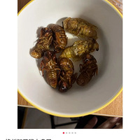 ץ���꣡����ץ���꣡����������ҹ������1Ԫ1ֻ������