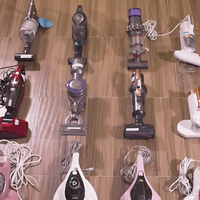 ���������ĸ����������б�Ҫ����2025��������������������