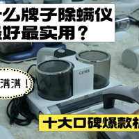 ʲô���ӳ����������ʵ�ã�2025ʮ��ڱ�������ͱ����벻����