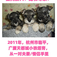 Ѱס2011꺼춼Сѩ