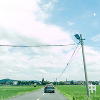 ȥȻֲ