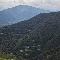 飬