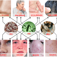 �������ĸ������Լ۱ȸߣ�2025 �꾫ѡ5��ʵ�û��ͣ�������Ҳ����