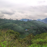 �����ʲ�