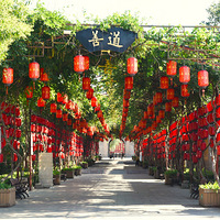 ��Ҵ�Ժ{��)