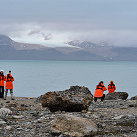 �����ǵ�֮��