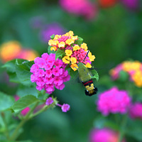 ����·�ϳ�����