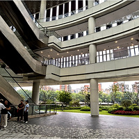 ���˺���ء���Ӱ