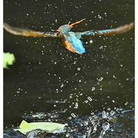 ץ��������Զ���ɵĴ���