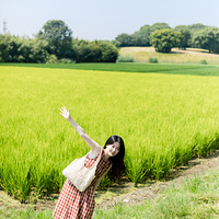 �Ѿ��ڴ���һ�μ���