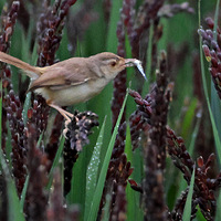 ����������ѵĴ�ɫɽ��ݺ