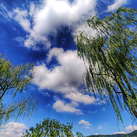 ����Ʈ��