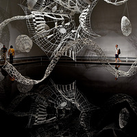 �㽭������ʰȤ��