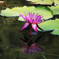 ӿ��ص�����