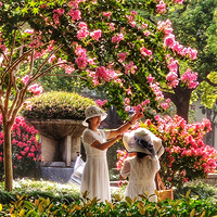 ʢ������ޱ��