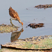 ��Ϫʪ�ص�����Сˮ��35����Ӱ