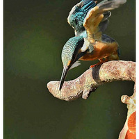 �������µĴ���