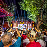 ����ʮ����  Ʒ�Ρ������̻�