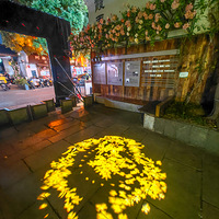 ��ϼŪ������Ӱ����  ��������ܡ��������¡���