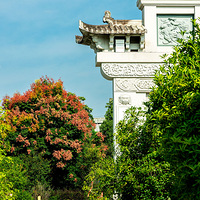 �����ɷ���