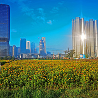 ʢ������ɽ�ᱱ���վջ���ף˫�ڿ���