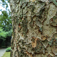 ÿһ���������Լ�������