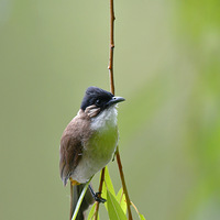 ��������ǧ