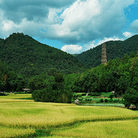 ���Ƚ�ƣ����¾��á�