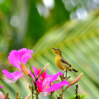 �Ƹ�������