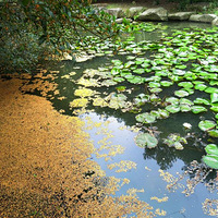 ������Ʈ��