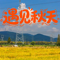 ��������  ����ʿ����