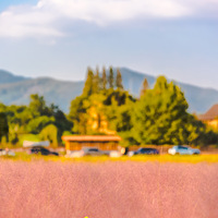 ���˵�̨��֮����