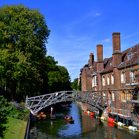 Ӣ�����Ŵ�ѧ��