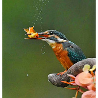 �Ժ���Ĵ���