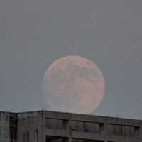 �����Բ�¡�