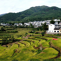 ����ָ�ϴ���Ӱ