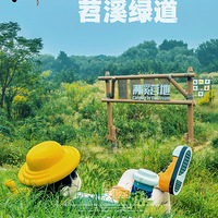 ���ݳ����ġ���̬���ȡ��͡��������á�������Ϫ�̵�